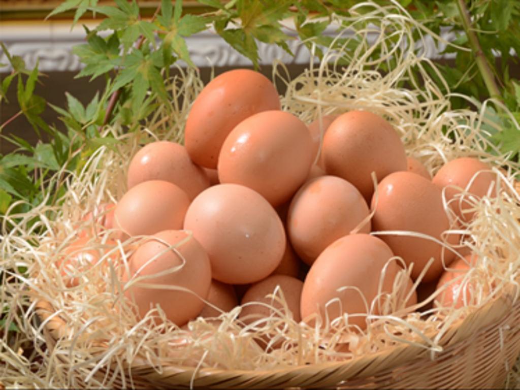 فندق ليكستون كاجوشيما كاغوسِمَ المظهر الخارجي الصورة